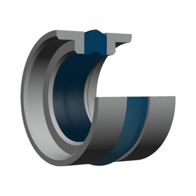 Compact composite seal 32x24x9.30 T19
