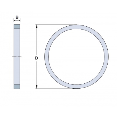SKF FRB2 10/110 ring
