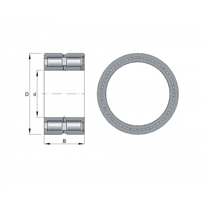 INA SL185010-XL bearing