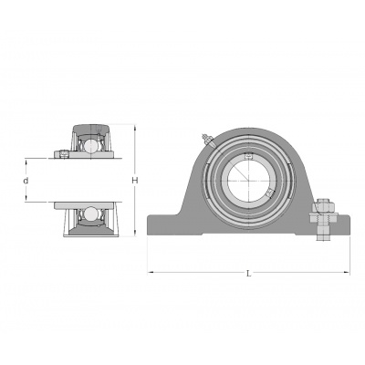 Bearing SY 50 TF SKF