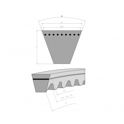 Rubena V-belt 12.5 x 2025 La AVX13