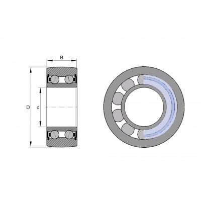 Bearing LR 5202 NPPU INA