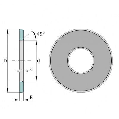 INA LS 3047 ring