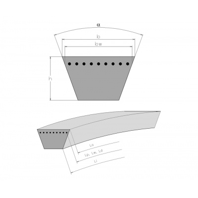 Rubena V-belt 32x2650 Li-D