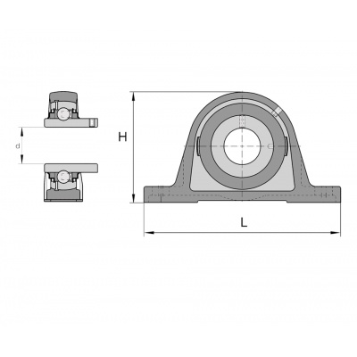 INA RASEY 60 bearing
