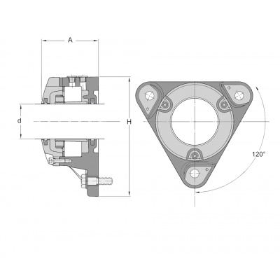 FNL 513 B IBB bearing