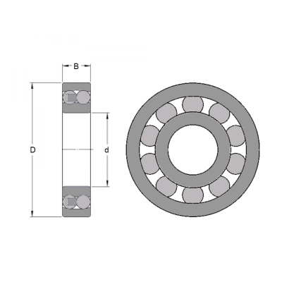 Bearing 1205 C3 NKE
