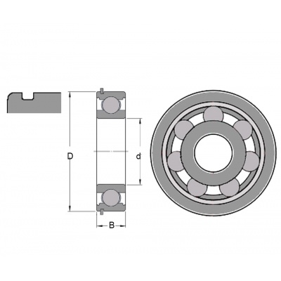 Bearing 6005 NR SKF