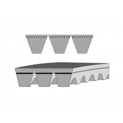 PIX 12.5×875 La AVX13 V-belt