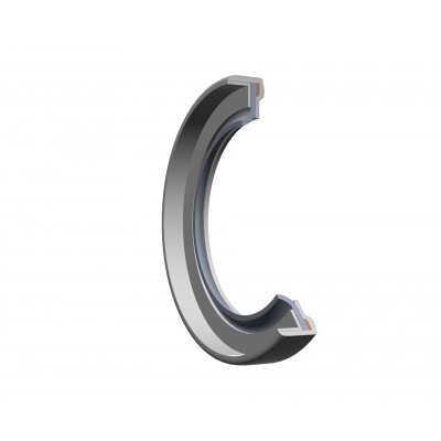 Dichtungsring 25x42x8 PS-SEAL GYLON-W/INOX