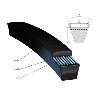 Rubena 8x975 Li-X8 V-belt