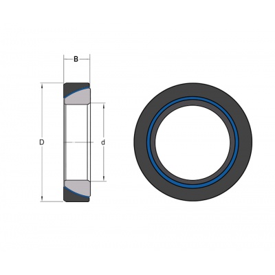 Bearing GE 30 SW/GAC 30 T Fluoro-CN