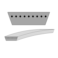 variator