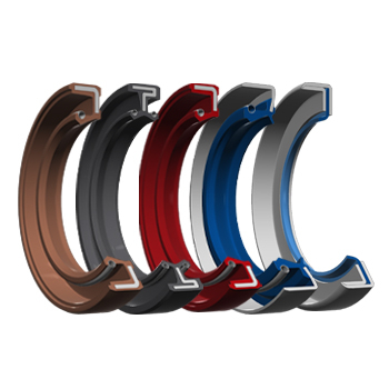 Radial Seals